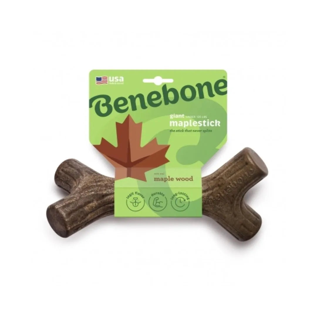 Benebone Maple Stick - Mordedor para cachorro