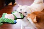 Pelucia Para Cães PETTA - Qmonster Animais de Mãos Dadas Sapo