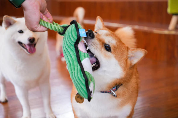 Pelucia Para Cães PETTA - Qmonster Animais de Mãos Dadas Sapo