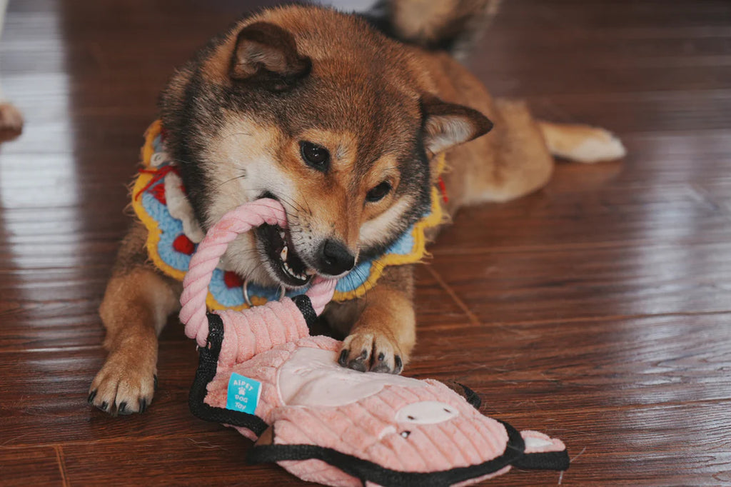 Pelucia Para Cães PETTA - Qmonster Animais de Mãos Dadas Porco