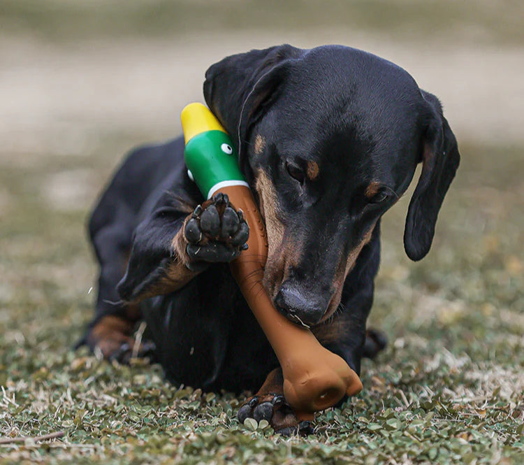 Brinquedo Para Cachorro PETTA Qmonster Latex Bastão Voador - Pato