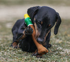 Brinquedo Para Cachorro PETTA Qmonster Latex Bastão Voador - Pato