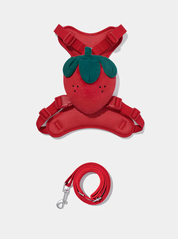 Vetreska Strawberry Pet Backpack, Harness and Leash Set - Conjunto Peitoral, Mochila e Guia