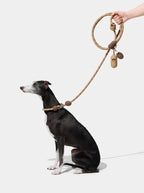 VETRESKA Connect Coffee Guia de Mãos Livres para Pets