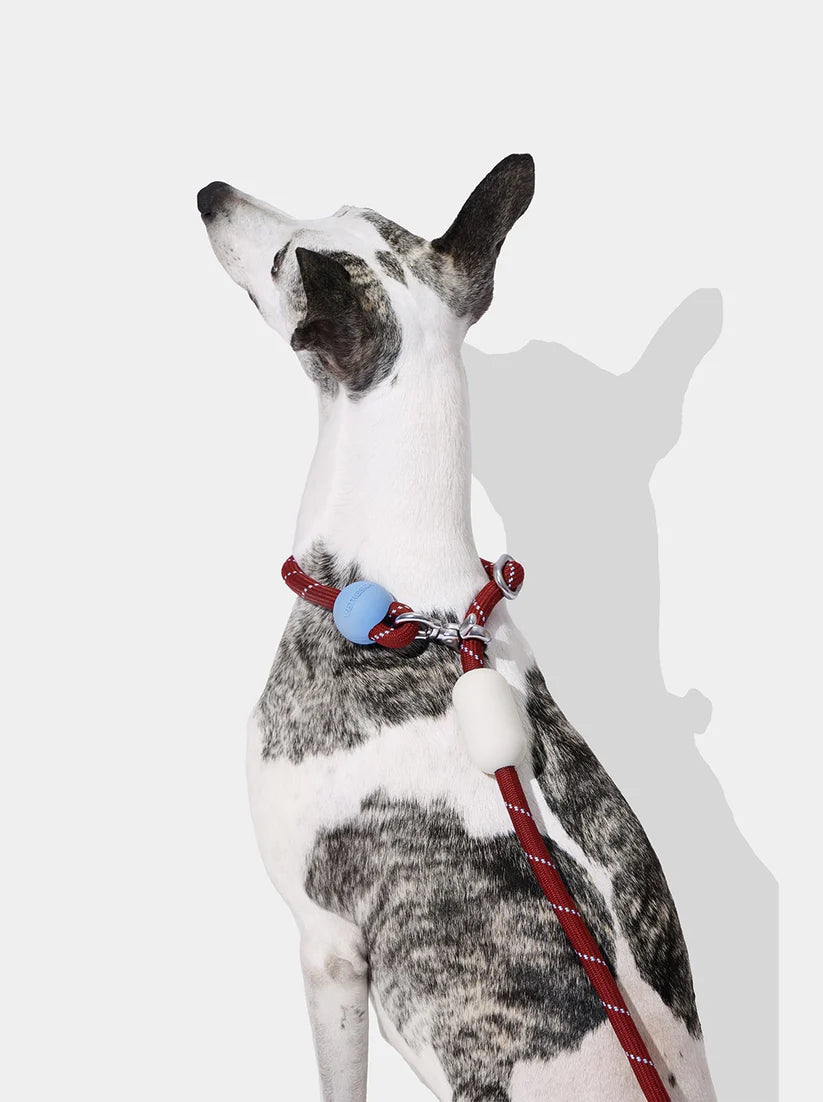 VETRESKA Mist & Merlot Hands-Free Rope Leash - Guia de Mãos Livres