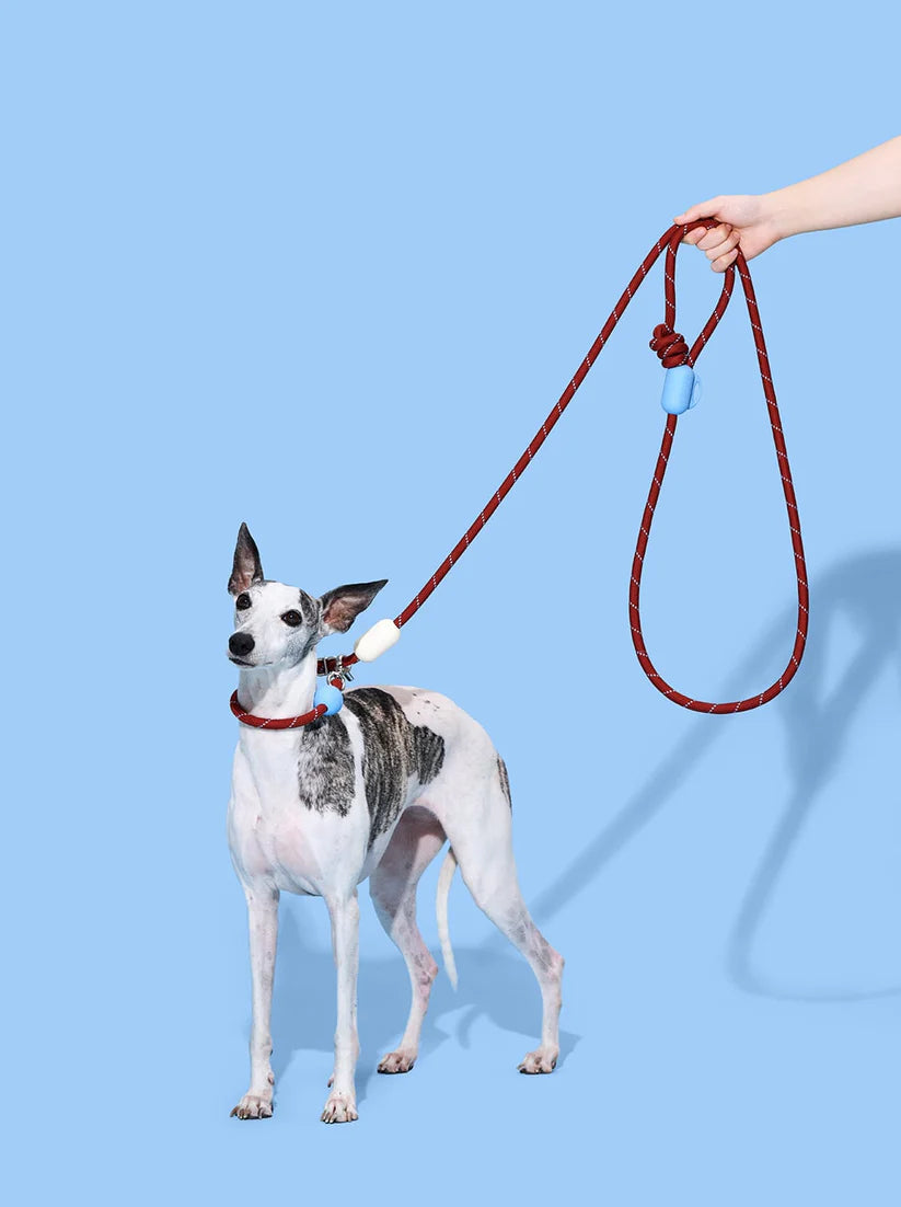 VETRESKA Mist & Merlot Hands-Free Rope Leash - Guia de Mãos Livres