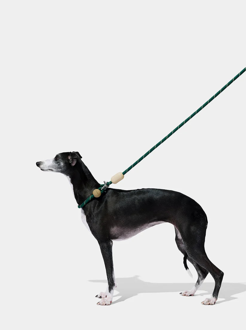 VETRESKA Santal Forest Hands-Free Rope Leash for Pets - Guia de Mãos Livres