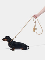 VETRESKA Connect Lite Rope Leash - Guia Leve de Corda - Coffee