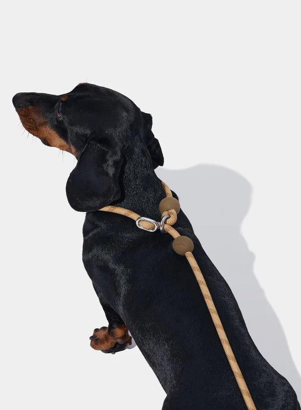 VETRESKA Connect Lite Rope Leash - Guia Leve de Corda - Coffee