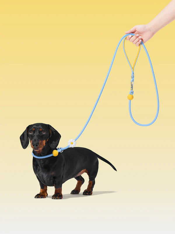 VETRESKA Connect Lite Rope Leash - Guia Leve de Corda - Daisy