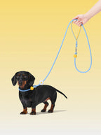 VETRESKA Connect Lite Rope Leash - Guia Leve de Corda - Daisy