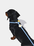VETRESKA Connect Lite Rope Leash - Guia Leve de Corda - Daisy