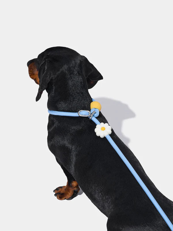 VETRESKA Connect Lite Rope Leash - Guia Leve de Corda - Daisy