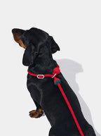 VETRESKA Connect Lite Rope Leash - Guia Leve de Corda - Strawberry