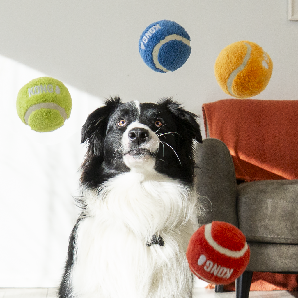 Kong Sport Softies Balls Grande - Brinquedo para cachorro