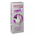 Anti Pulgas Bravecto Plus para Gatos de 6,24kg a 12,5kg