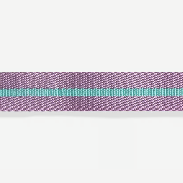 Coleira para cachorros ZeeDog Aura