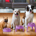 Outward Hound Adjustable Slow Feeder - Comedouro Lento 3 em 1