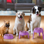 Outward Hound Adjustable Slow Feeder - Comedouro Lento 3 em 1