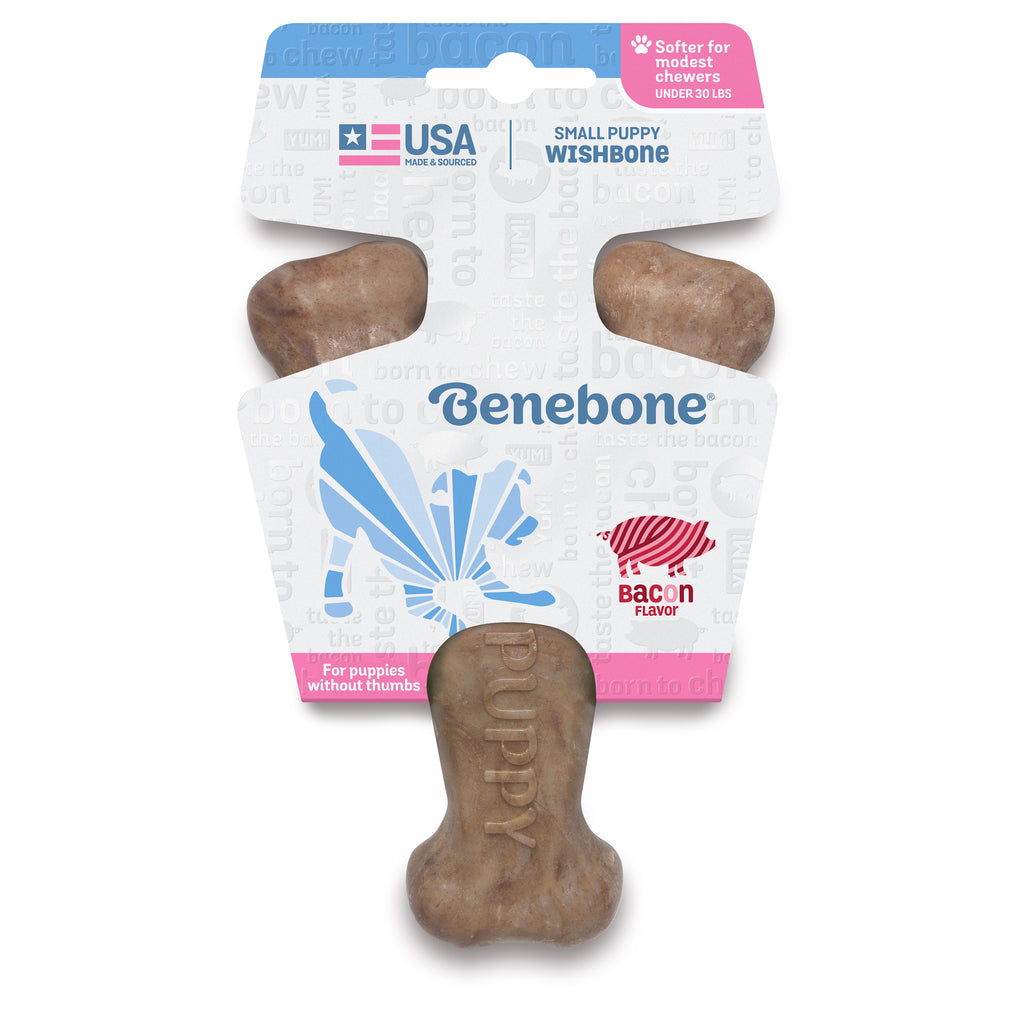 Benebone Wishbone Puppy Bacon - Mordedor para cachorro pequeno e filhotes