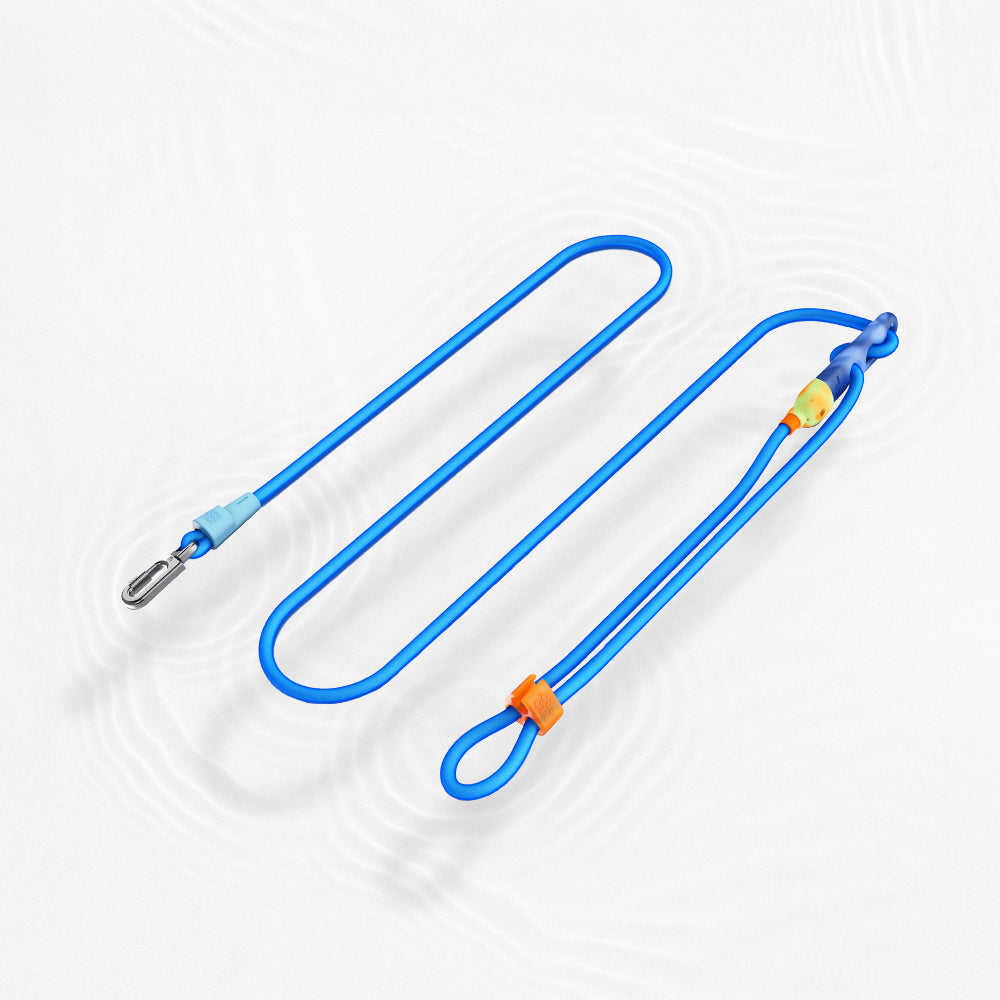 Zee Dog Guia Hands Free NeoPro Sapphire para Cães