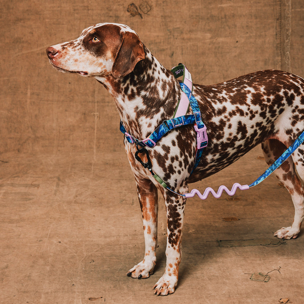 Peitoral Antipuxão SofterWalk para Cachorros Reebok Trekk