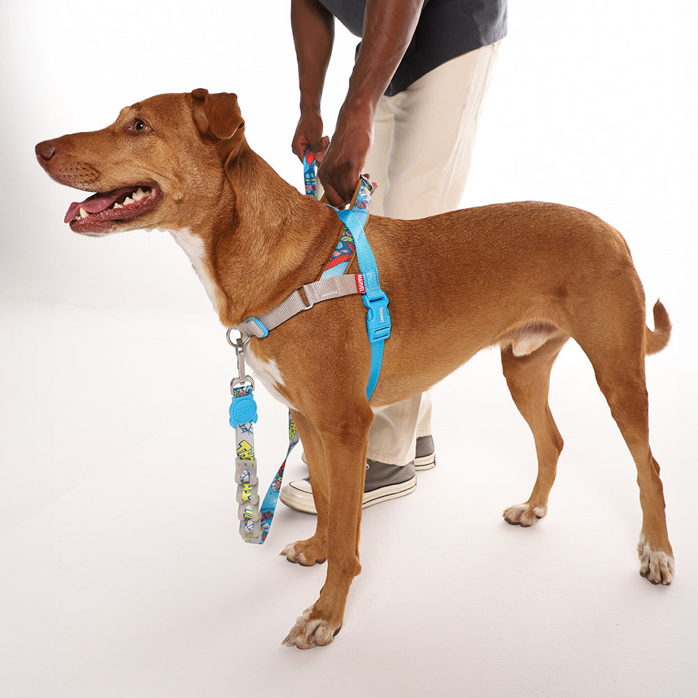 Peitoral Para Cachorros Zee Dog Softer Walk Antipuxão Marvel Thor