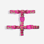 Zee Dog Peitoral para Cachorros H H3D Jelly