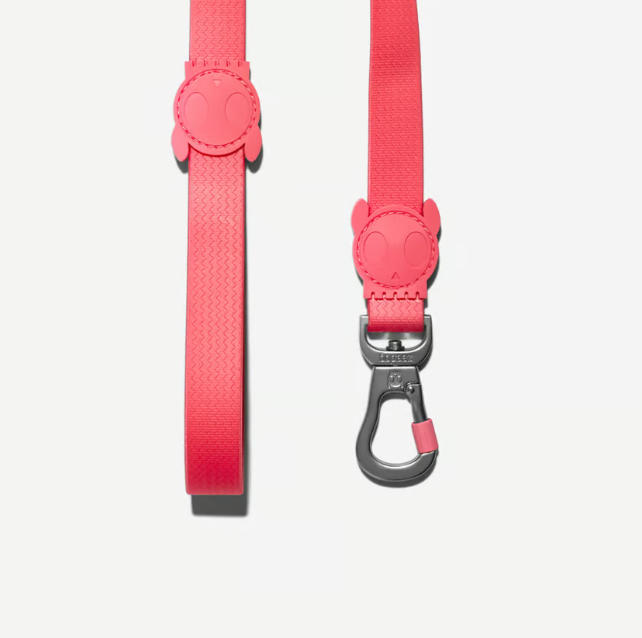 Guia para cachorros ZeeDog Neopro Bubblegum