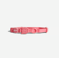 Coleira para gatos ZeeCat NeoPro Bubblegum
