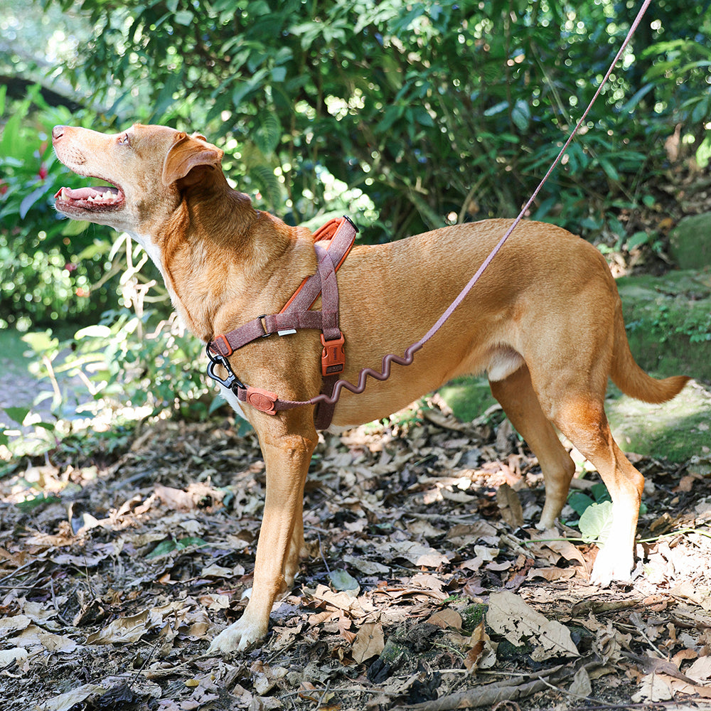 Peitoral Antipuxão SofterWalk Naturals Cocoa Zee.Dog