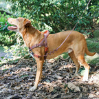 Peitoral Antipuxão SofterWalk Naturals Cocoa Zee.Dog