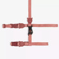 Peitoral Com Guia Para Gatos Canyon Naturals Zee Dog