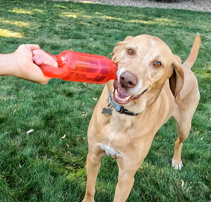 Kong Jumbler Tug Pequeno Cabo de Guerra - Brinquedo para cachorro