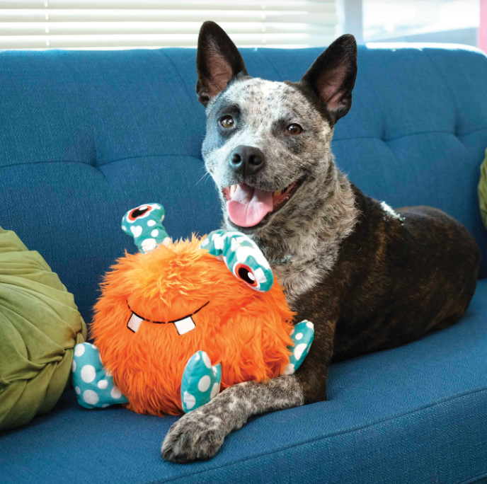 Kong Whipples Assorted Grande - Brinquedo para cachorro