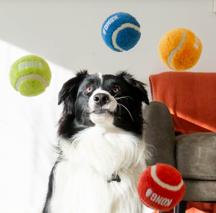 Kong Sport Softies Balls Pequeno - Brinquedo para cachorro