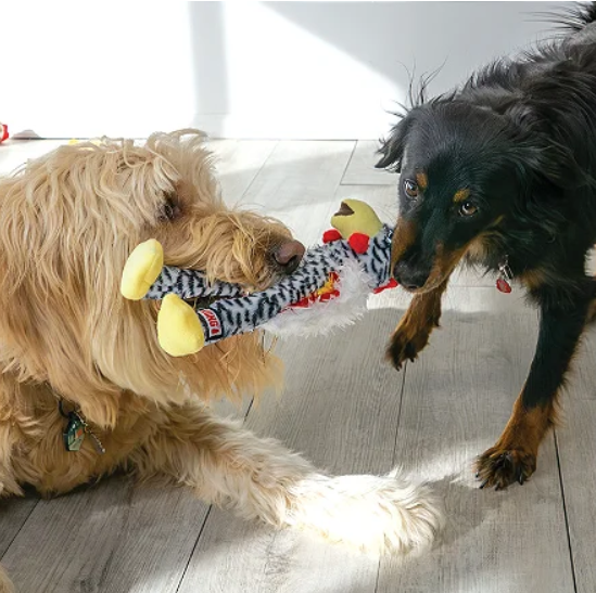 Kong Wishbone Assorted Médio