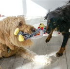 Kong Wishbone Assorted Médio