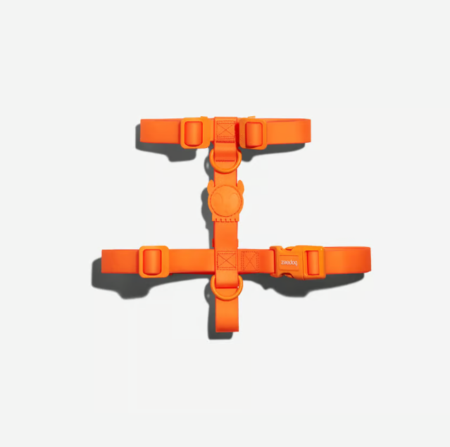 Peitoral Para Cachorros H Neopro Tangerine Zee Dog