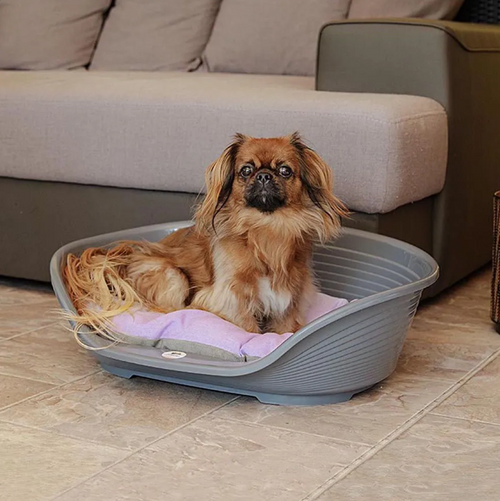 Cama Plástica Ferplast Siesta Deluxe Tamanho 2