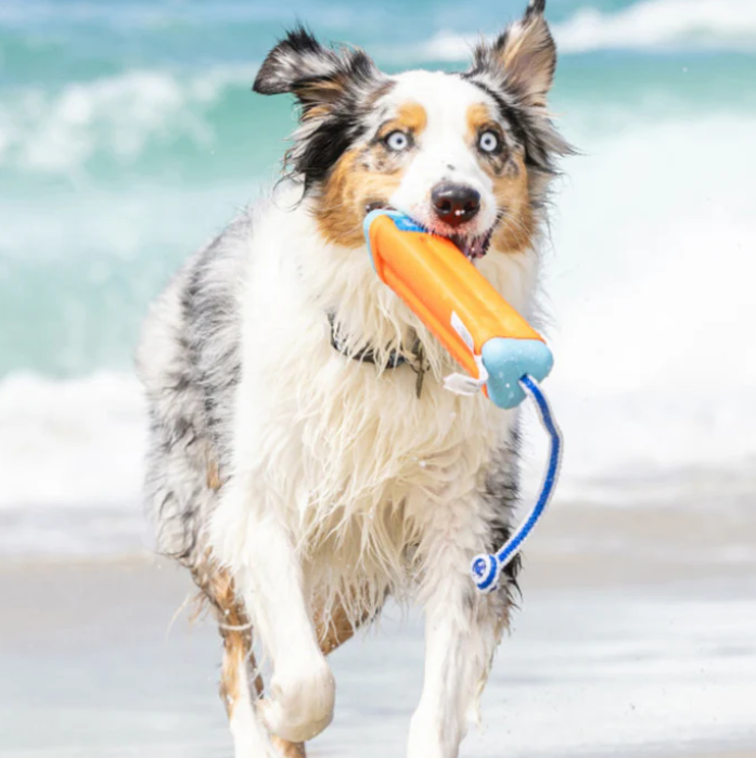 Chuckit! Amphibious Bumper Floating - Brinquedo Aquático para Cães