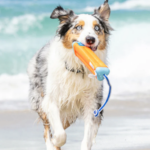 Chuckit! Amphibious Bumper Floating - Brinquedo Aquático para Cães