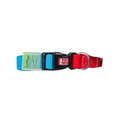 Coleira Ray Pet Life Para Cachorros Azul/Verde/Vermelho