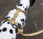 Peitoral H Para Cachorros Sand Zee Dog