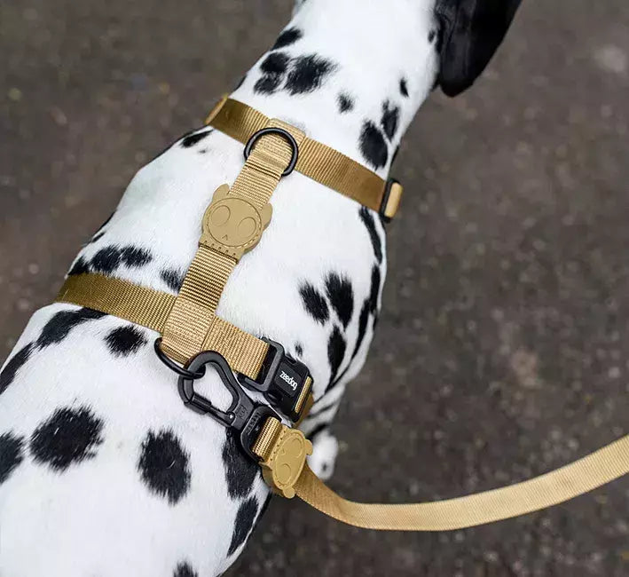 Peitoral H Para Cachorros Sand Zee Dog