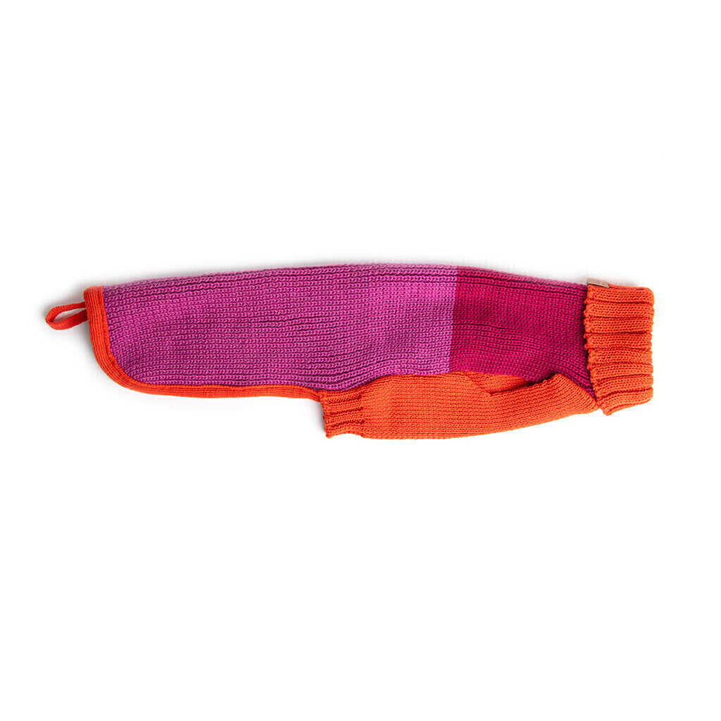 Sweater Para Cães My Family laranja fucsia