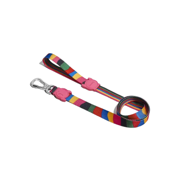 Guia para cachorros ZeeDog Chroma