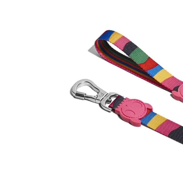 Guia para cachorros ZeeDog Chroma