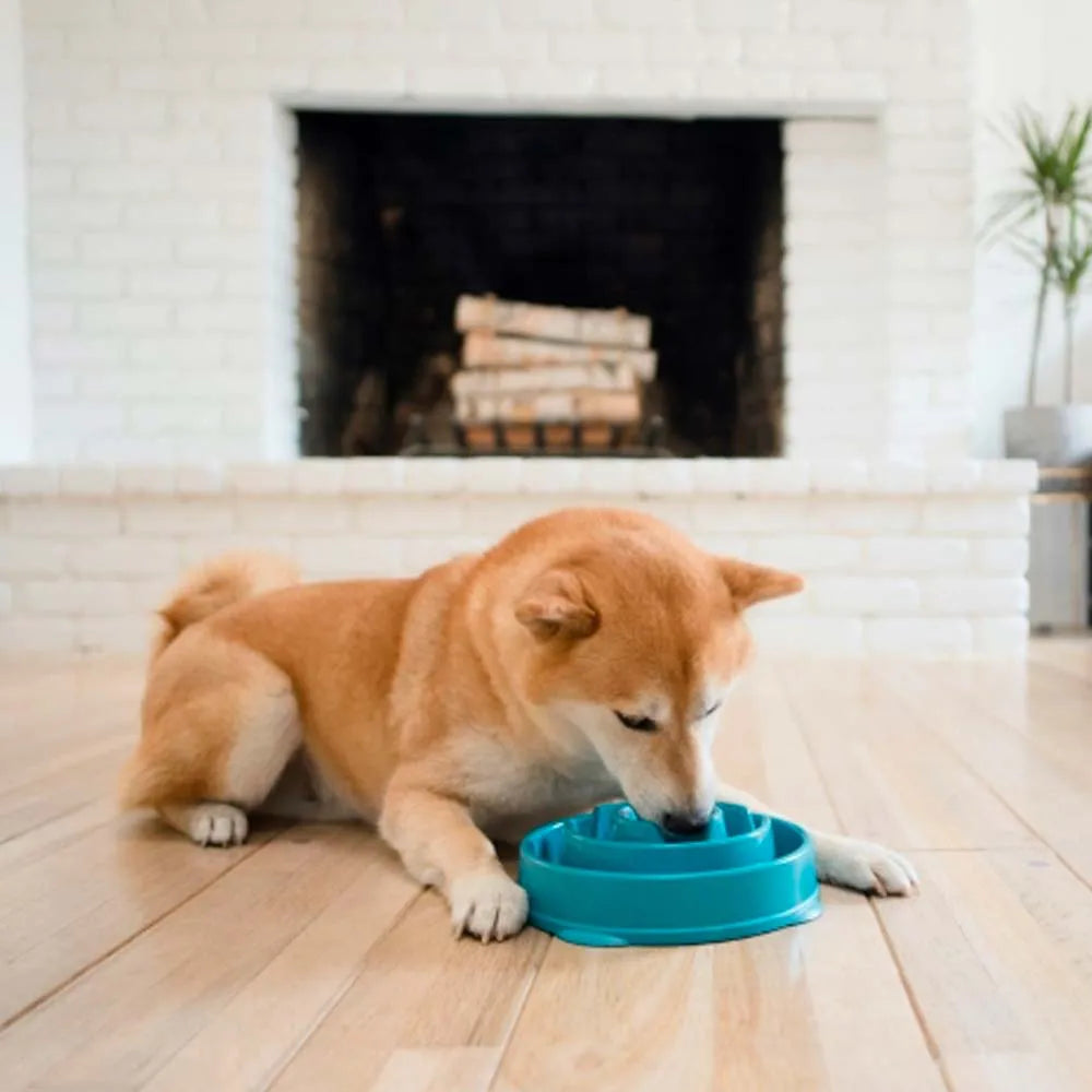 Outward Hound Fun Feeder - Comedouro Lento Azul M