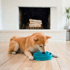 Outward Hound Fun Feeder - Comedouro Lento Azul M